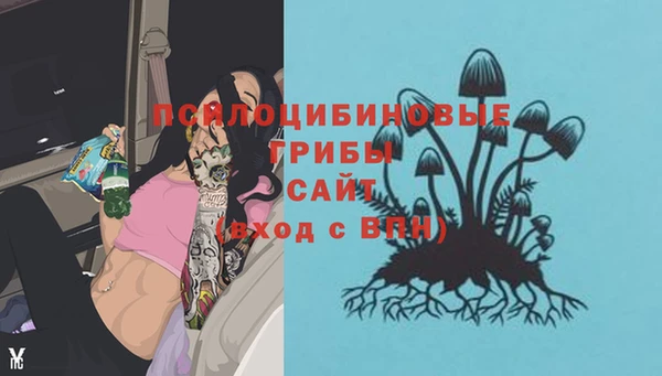 тгк Кукмор