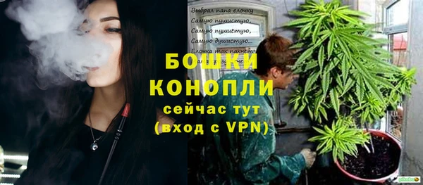 тгк Кукмор