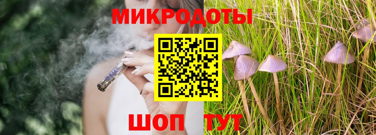 Галлюциногенные грибы прущие грибы  Вход с VPN  Шатура 