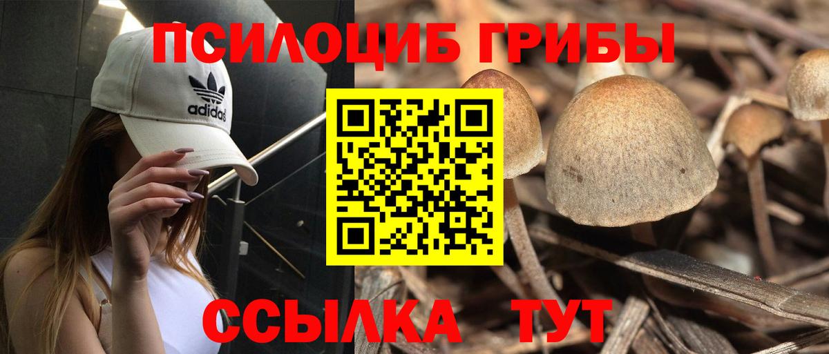 Галлюциногенные грибы мицелий Шатура