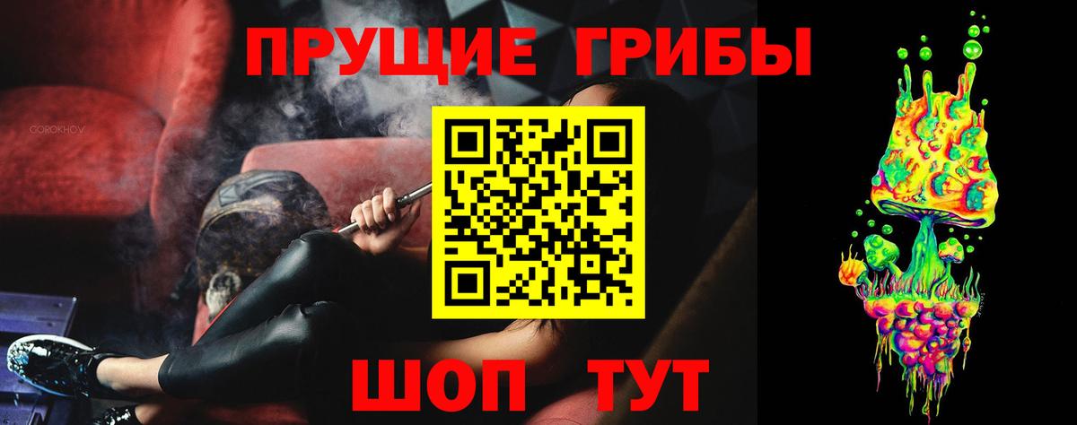 Галлюциногенные грибы Cubensis Шатура